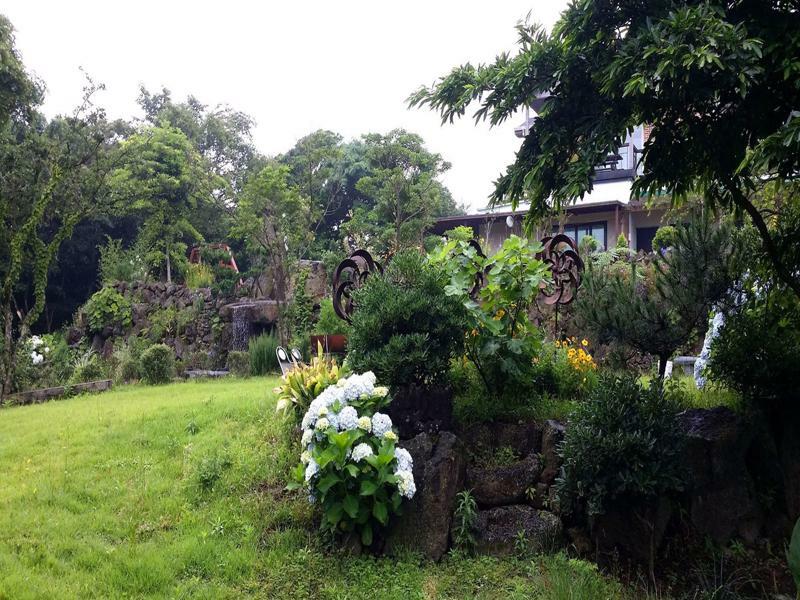 Gotjawal Geomunoreum Pension Jeju Buitenkant foto