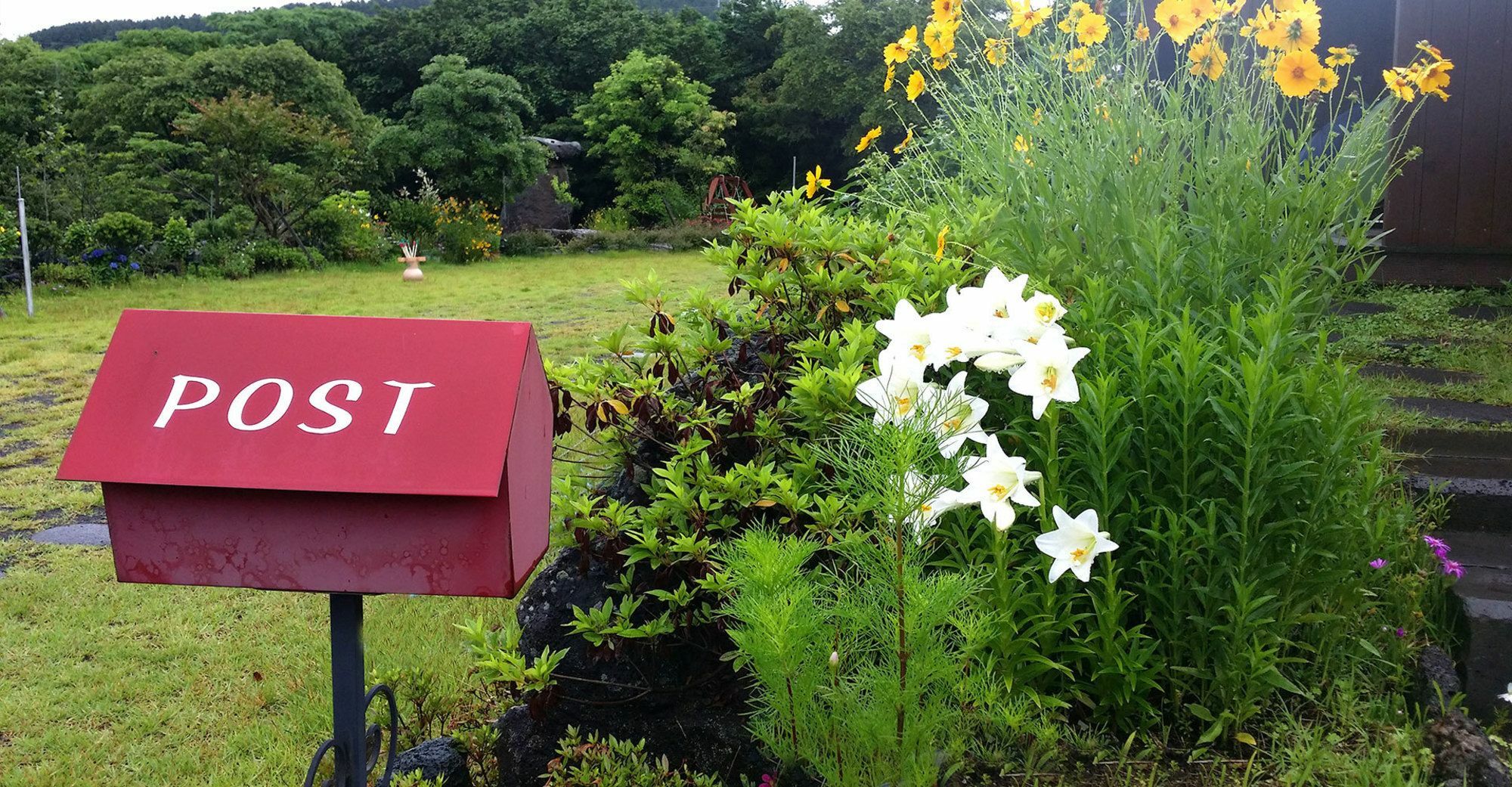 Gotjawal Geomunoreum Pension Jeju Buitenkant foto