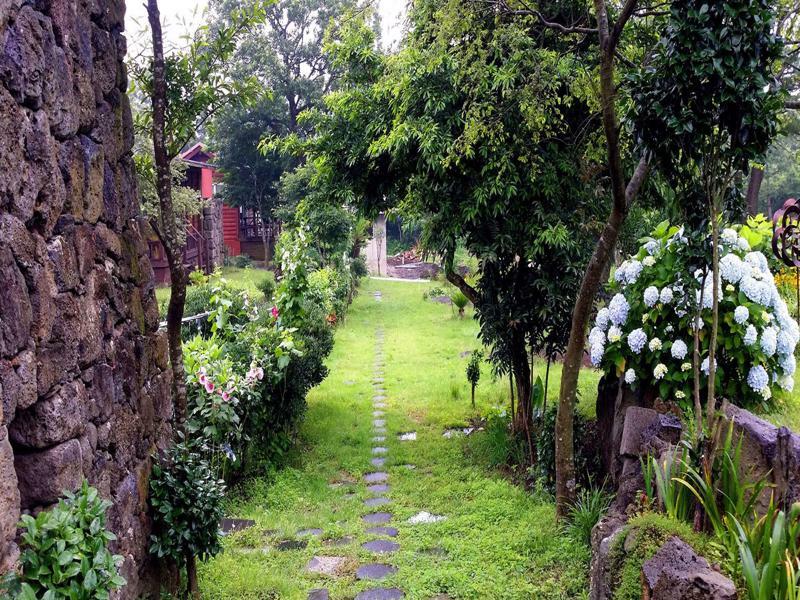 Gotjawal Geomunoreum Pension Jeju Buitenkant foto